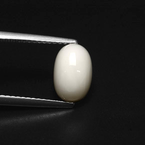 2.49カラットの天然ホワイトサンゴ（9.9×6.5 mm・オーバルカット）