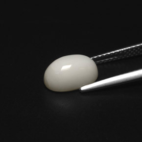 2.49カラットの天然ホワイトサンゴ（9.9×6.5 mm・オーバルカット）