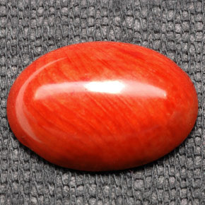 7.43カラットの天然オレンジサンゴ（17.8×12.9 mm・オーバルカット）