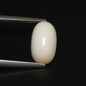 2.81カラットの天然ホワイトサンゴ（11.1×6.3 mm・オーバルカット）