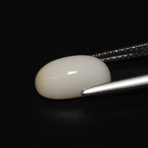 2.81カラットの天然ホワイトサンゴ（11.1×6.3 mm・オーバルカット）