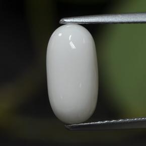 2.63カラットの天然ホワイトサンゴ（11.7×6 mm・オーバルカット）