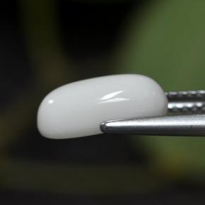 2.63カラットの天然ホワイトサンゴ（11.7×6 mm・オーバルカット）