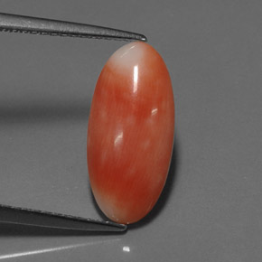 2.55カラットの天然ホワイトサーモンサンゴ（15.4×7.3 mm・オーバルカット）