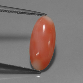 2.03カラットの天然ホワイトサーモンサンゴ（15.1×6.8 mm・オーバルカット）
