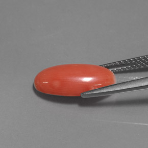 2.76カラットの天然サーモンサンゴ（13.8×7.2 mm・オーバルカット）