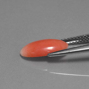 1.69カラットの天然サーモンサンゴ（12.8×6.6 mm・オーバルカット）