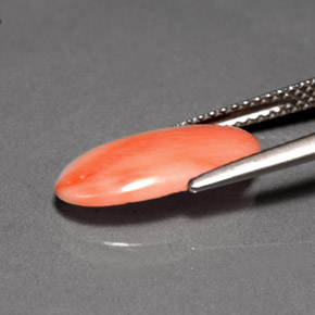 2.00カラットの天然ホワイトサーモンサンゴ（14.8×7.6 mm・オーバルカット）