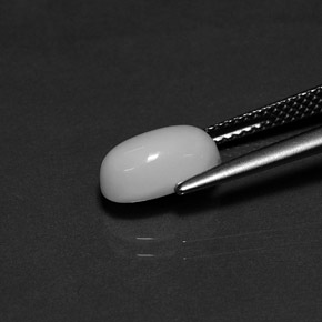 2.29カラットの天然ホワイトサンゴ（10×6.3 mm・オーバルカット）