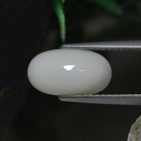 2.30カラットの天然ホワイトサンゴ（11.8×6.6 mm・オーバルカット）