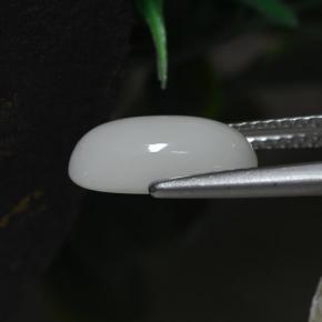 2.30カラットの天然ホワイトサンゴ（11.8×6.6 mm・オーバルカット）