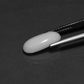 1.82カラットの天然ホワイトサンゴ（12.1×5.7 mm・オーバルカット）
