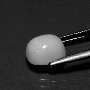 2.26カラットの天然ホワイトサンゴ（8.1×7.2 mm・オーバルカット）