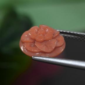 3.63カラットの天然濃いサーモンピンクサンゴ、フラワーカット、オペーク