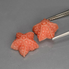 自然派の商品を探す ct サーモン サンゴ 宝石, ファンシーシェイプ, オーストラリア からGemSelectで. 在庫あり、世界各国へ発送!