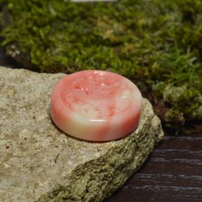 12.62カラットの天然マルチカラーサンゴ（16.9×4.7 mm・ファンシーシェイプ）