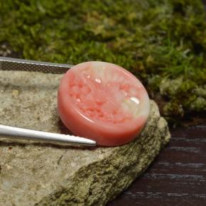 12.62カラットの天然マルチカラーサンゴ（16.9×4.7 mm・ファンシーシェイプ）
