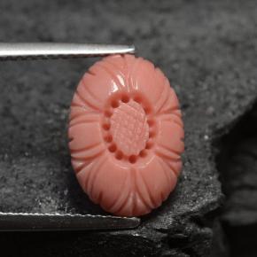 3.66カラットの天然サーモンサンゴ（13.7×9.7 mm・ファンシーシェイプ）