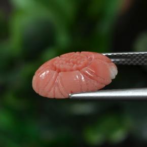 3.00カラットの天然赤みがかったピンクのトーンサンゴ、フラワーカット、オペーク