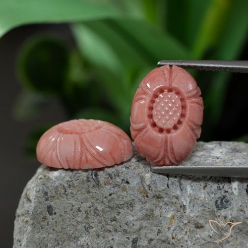 自然派の商品を探す 9.38ct ミディアムピンク サンゴ 宝石, フラワーカット, オーストラリア からGemSelectで. 在庫あり、世界各国へ発送!