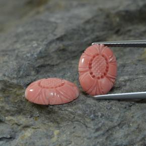 カラットの天然サーモンサンゴ（13.7×9.8 mm・ファンシーシェイプ）