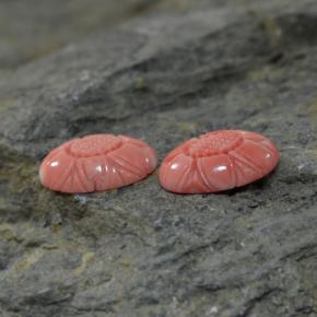 カラットの天然サーモンサンゴ（13.7×9.8 mm・ファンシーシェイプ）