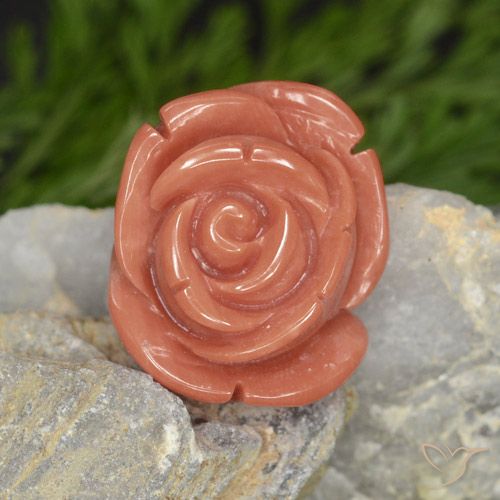 14.58カラットの天然Salmon Pink  サンゴ、ファンシー、オペーク