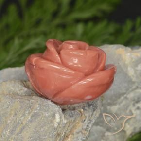 14.58カラットの天然Salmon Pink  サンゴ、ファンシー、オペーク