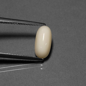 2.21カラットの天然クリームサンゴ（10.9×5.4 mm・オーバルカット）
