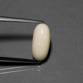 2.41カラットの天然ホワイトサンゴ（12.5×5.9 mm・オーバルカット）