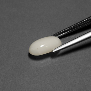 1.84カラットの天然ホワイトサンゴ（10.8×5.8 mm・オーバルカット）