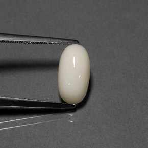 2.02カラットの天然ホワイトサンゴ（11.4×6 mm・オーバルカット）
