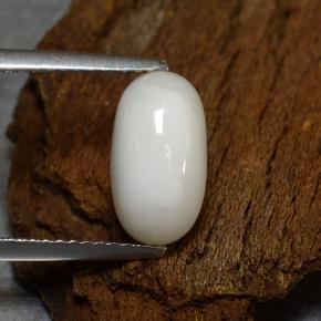 2.39カラットの天然薄いグレーがかったホワイトサンゴ（11×6.1 mm・オーバルカット）