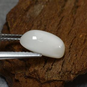 2.39カラットの天然薄いグレーがかったホワイトサンゴ（11×6.1 mm・オーバルカット）