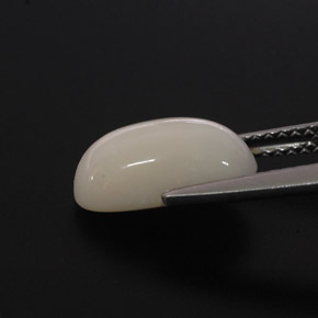 2.85カラットの天然ホワイトサンゴ（11.7×6.4 mm・オーバルカット）