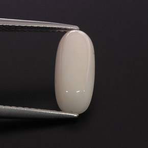 2.28カラットの天然ホワイトサンゴ（12.6×5.4 mm・オーバルカット）
