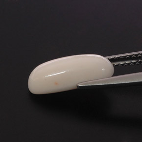 2.28カラットの天然ホワイトサンゴ（12.6×5.4 mm・オーバルカット）