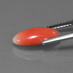 1.69カラットの天然サーモンサンゴ、オーバルカット、オペーク