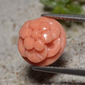 4.01カラットの天然サーモンサンゴ（10.5×6.5 mm・フラワーカット）