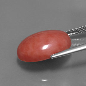 7.54カラットの天然サーモンサンゴ（16.1×12 mm・オーバルカット）