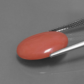 4.97カラットの天然サーモンサンゴ（15.9×12 mm・オーバルカット）