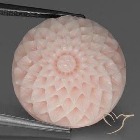 24.56ct 天然 サーモンピンク サンゴ, フラワーカット, オペーク, Photo A