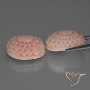 Shop natural 16.64ct サーモンピンク サンゴ gems, ファンシー, from 台湾 at GemSelect. In stock, global shipping!