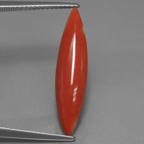 2.45カラットの天然ホワイトサーモンサンゴ（24.4×6.1 mm・マーキス）