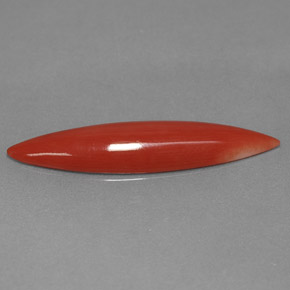 2.45カラットの天然ホワイトサーモンサンゴ（24.4×6.1 mm・マーキス）