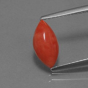 1.23カラットの天然ホワイトサーモンサンゴ（11×5.7 mm・マーキス）