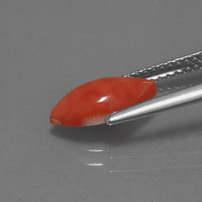 1.23カラットの天然ホワイトサーモンサンゴ（11×5.7 mm・マーキス）