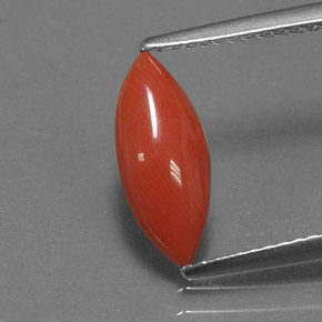 1.18カラットの天然ホワイトサーモンサンゴ（12.7×5.4 mm・マーキス）