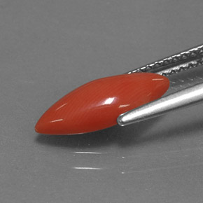 1.18カラットの天然ホワイトサーモンサンゴ（12.7×5.4 mm・マーキス）
