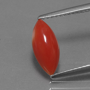 1.30カラットの天然ホワイトサーモンサンゴ（11.9×5.4 mm・マーキス）